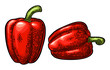 Whole red sweet bell pepper. Vector color vintage engraving illustration