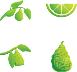 Poster - Lime fruit icons set cartoon vector. Fresh organic green citrus. Healthy nutrition