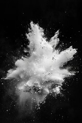 Poster - A striking black and white image of a powder cloud. Ideal for artistic projects