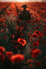 Poster - A man walking through a field of vibrant red flowers. Perfect for nature or outdoor themes
