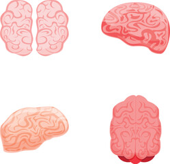 Poster - Brain icons set cartoon vector. Left and right hemisphere of human brain. Physiology, neurobiology