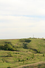 Wall Mural - A landscape with a field and trees