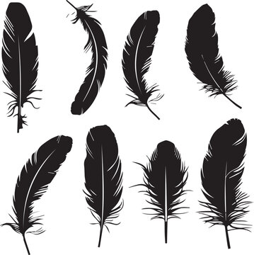 set of feathers