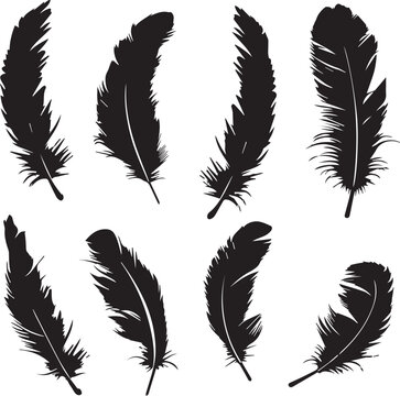 set of feathers