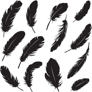 set of feathers
