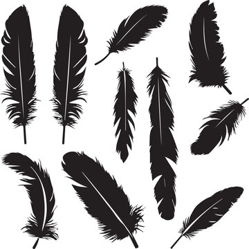 set of feathers
