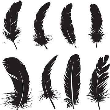 set of feathers