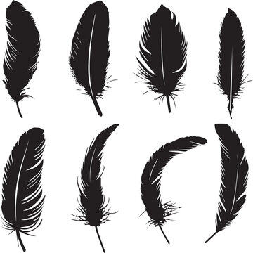 set of feathers