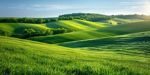 Poster - Green rolling hills under blue sky and white clouds