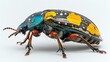 A Jewel of Nature: Unraveling the Enigmatic World of Beetles