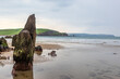 Rock formations on the beach, at Bigbury-on-sea on the Devon coast