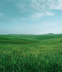 Poster - Grasslands under blue sky and white clouds