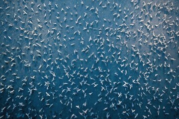 Poster - rain drops on the glass