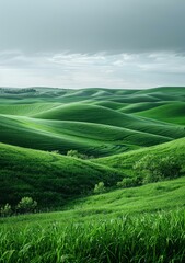 Wall Mural - Green rolling hills under cloudy sky