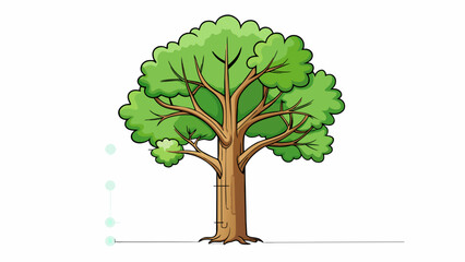 Fototapete - A definition can also specify the physical appearance of an object such as a tree having a tall trunk branches and leaves that photosynthesize. Cartoon Vector