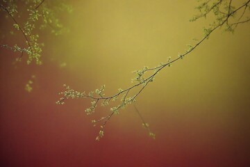 Poster - background with branches