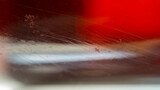Fototapeta Tęcza - Scratches and dirt on transparent glass on blurred red and dark.