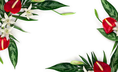 Wall Mural - white flowers tropical, red flowers anthurium, tropical palm leaves and dieffenbachia and on white b