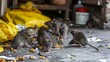 Kitchen Nightmare: Bugs and Rats Feasting