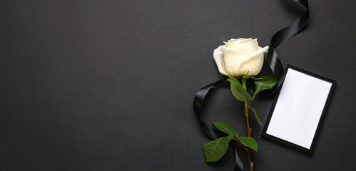 White rose with ribbon and photo frame on black background