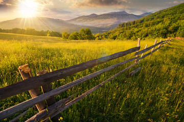 Wall Mural - wooden fence across the grassy rural field at sunset. mountainous countryside scenery of ukraine in evening light