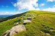row of huge stones on the grassy hillside of smooth polonina also called runa. carpathian nature landscape of ukraine on a sunny day in summer