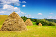 haystacks in a row on a grassy field. beautiful carpathian rural scenery of ukraine in summer. sustainable  agriculture concept.