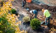 © Mattie - Landscape lawn care crew of workers on a job site or garden center tree farm nursery, planting trees, shrubs building designing a hard scape, tree care, plant install. Masonry, dirt, shovels