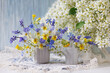 A bouquet of spring flowers pansies, primroses, muscari, bird cherry, scilla in a vase and a watering can on a table against a blue wall, close-up, blur.