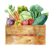 © slowbuzzstudio - wooden vegetables box watercolor digital painting good quality