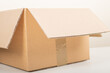Open blank brown cardboard box standing on white background