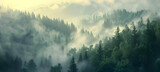 Fototapeta  - Early morning fog blanketing a valley, with just the tips of ancient, towering trees poking through the mist