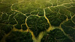 The intricate network of a delta viewed from above, highlighting the branching waterways and lush wetlands
