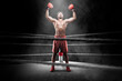Portrait of a boxing man with red boxing gloves celebrating his win