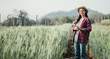 © Satori Studio - Female agronomist with a tablet in hand inspecting the growth of crops in a vast agricultural field.