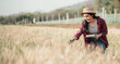 © Satori Studio - Agricultural expert touches and examines wheat ears while holding a notebook in a sunlit field, evaluating crop quality.
