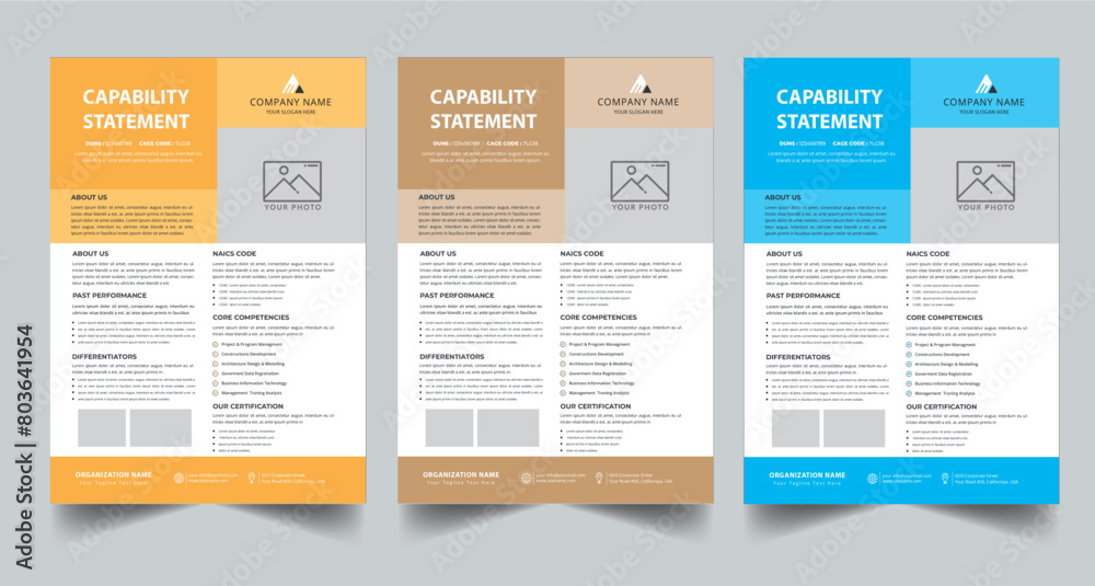 Capability Statement Template Design. Stock Vector | Adobe Stock