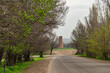 Road to the Burana Tower in the Chui region of Kyrgyzstan in spring. Local travel.