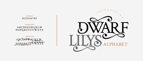 Dwarf elegant font alphabet uppercase lowercase and number. Classic lettering minimal fashion designs. Typography modern serif fonts regular decorative vintage concept. Vector illustration