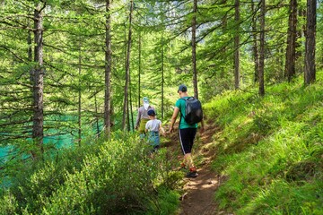 Wall Mural - hiking in the woods