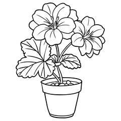 Geranium flower plant outline illustration coloring book page design, Geranium flower plant black and white line art drawing coloring book pages for children and adults