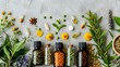 Flat lay of natural remedies and medicinal plants for holistic health care. Concept Natural Remedies, Medicinal Plants, Holistic Health Care, Flat Lay, Wellness Products