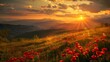 A beautiful sunset over a field of red flowers