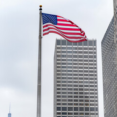 Wall Mural - The usa or united states of america flag on a flag