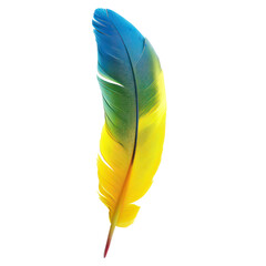 floated macaw parrot feather isolate on transparency background PNG