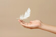White feather in female hand on beige background, closeup