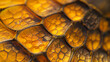This image highlights the unique and complex texture of reptile skin, emphasizing the beauty in nature's design