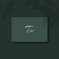 Wall Mural - Tu logo design vector image
