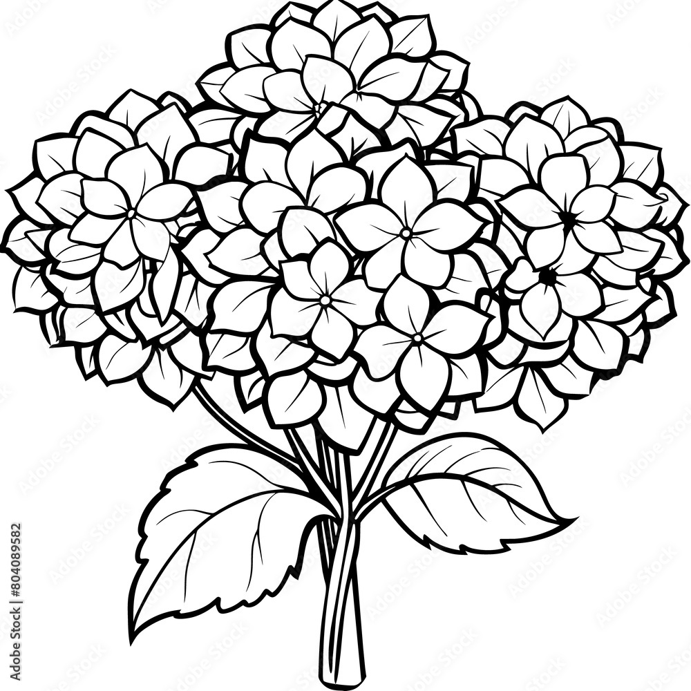 Hydrangea Flower Bouquet outline illustration coloring book page design ...