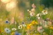 Wild Nature Flowers Meadow Wallpaper: Tranquil Beauty with Bokeh Effect